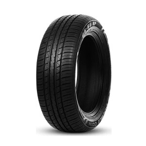 DOUBLECOIN DS-66 HP 225/55R19 99V