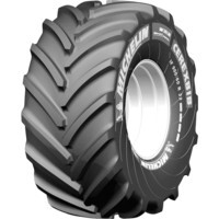 Michelin CereXbib CFO